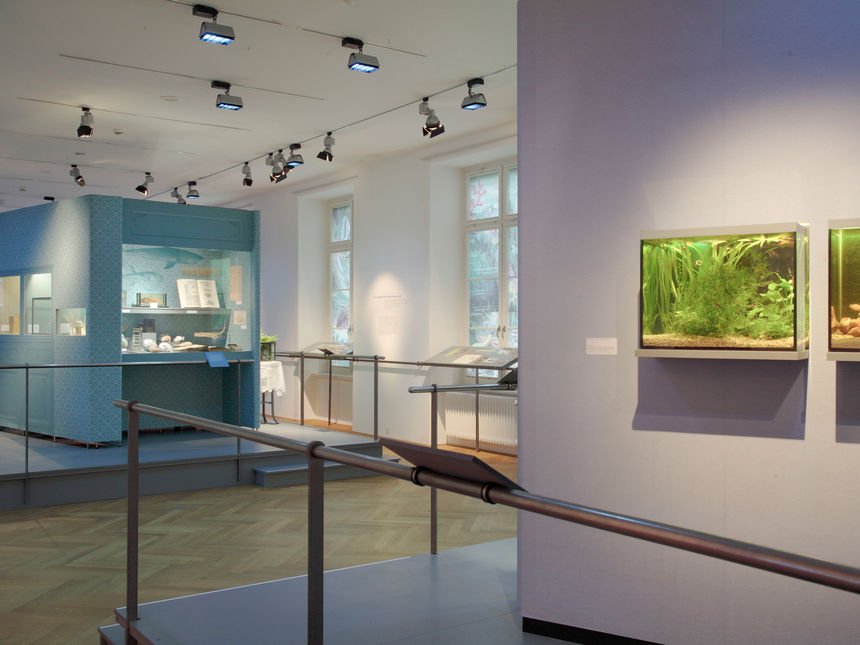 Aquarium Tauchstation Wohnzimmer Ausstellungen Gewerbemuseum Winterthur